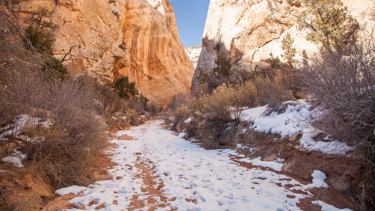 Natural State Nomads - Cottonwood Canyon Road
